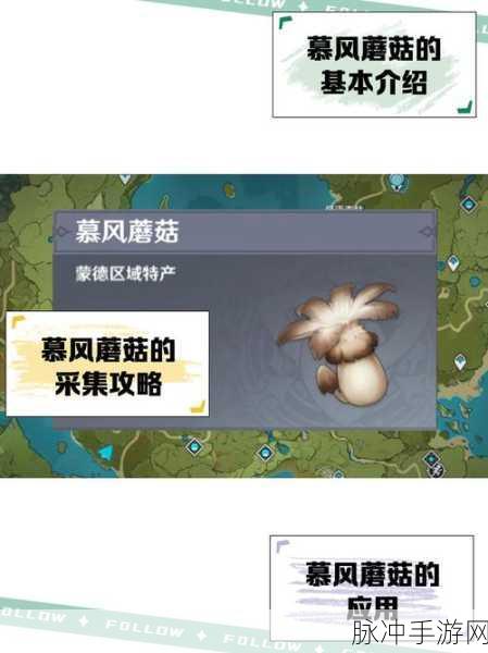 原神飓风之种获取全攻略,解锁角色突破新材料