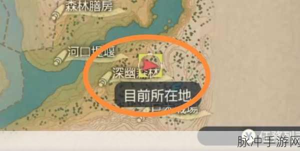宝可梦阿尔宙斯传说,揭秘泥丸的获取秘籍