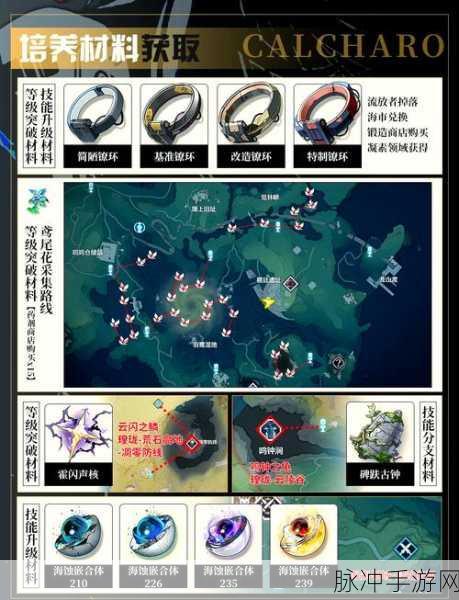 鸣潮卡卡罗,武器声骸配队与战斗策略全解析