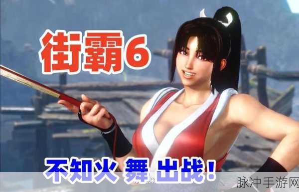 国服巅峰之战,揭秘榜一不知火舞的极致操作与策略