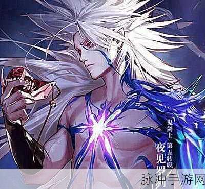 DNF剑影风靡全服,揭秘其非单一属性的独特魅力