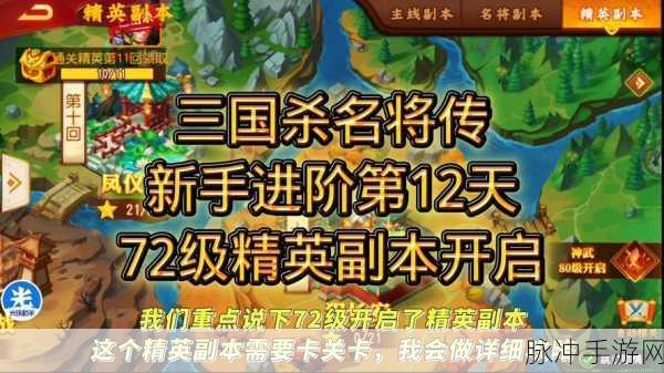 三国杀名将传，揭秘巅峰战力背后的秘密
