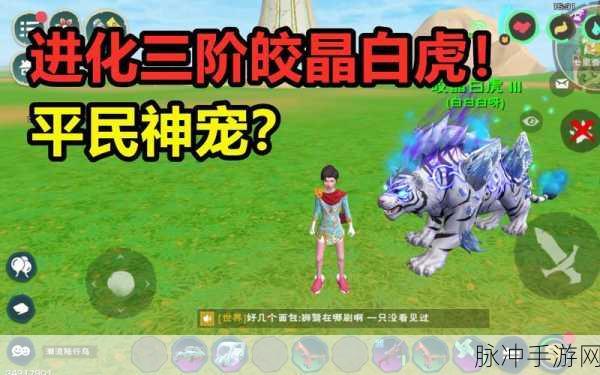 创造与魔法白虎进阶3到6阶碎片获取全攻略