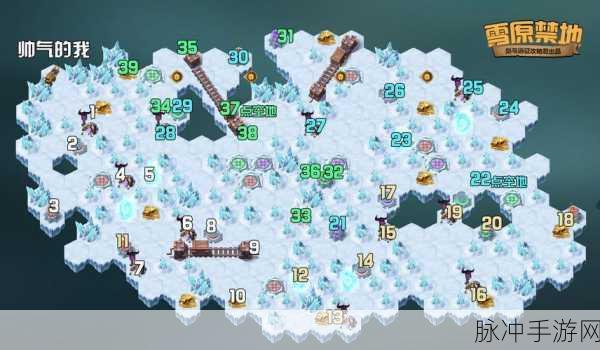 原神覆雪之国，解锁冰雪秘境的终极攻略