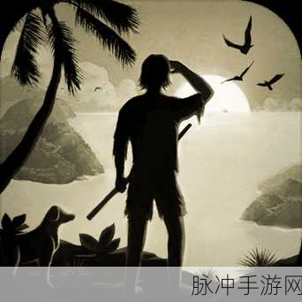 绝对演绎,荒岛求生全攻略,解锁生存新姿势!