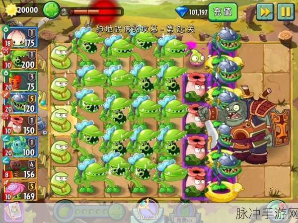 植物大战僵尸2pvz2功夫无尽全攻略