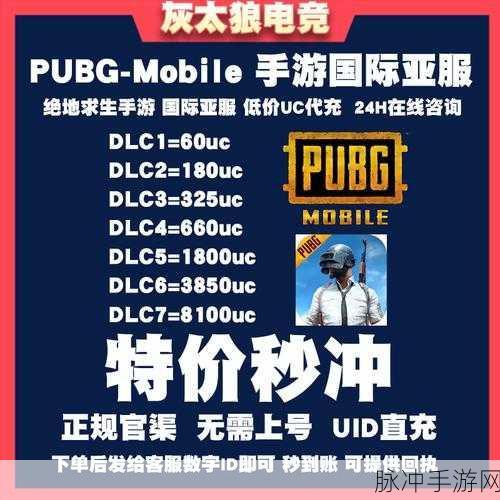 GG修改器助力,解锁刺激战场国际服UC新玩法