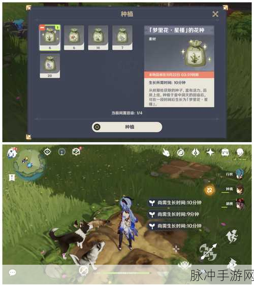 原神梦里生花,种花攻略全揭秘
