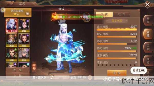 三国如龙传坐骑系统,驰骋战场的炫酷伴侣