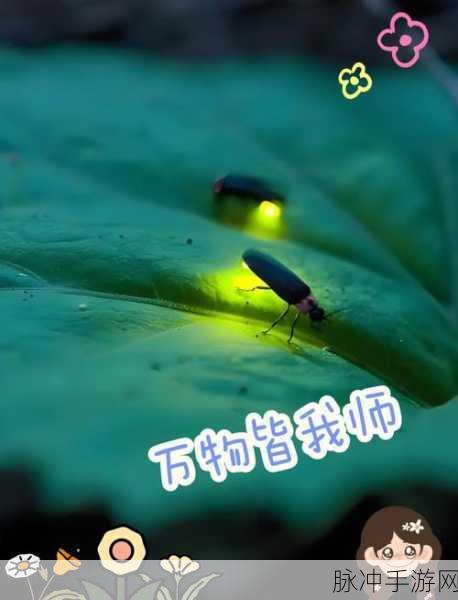迷你世界驯服萤火虫的奇妙之旅