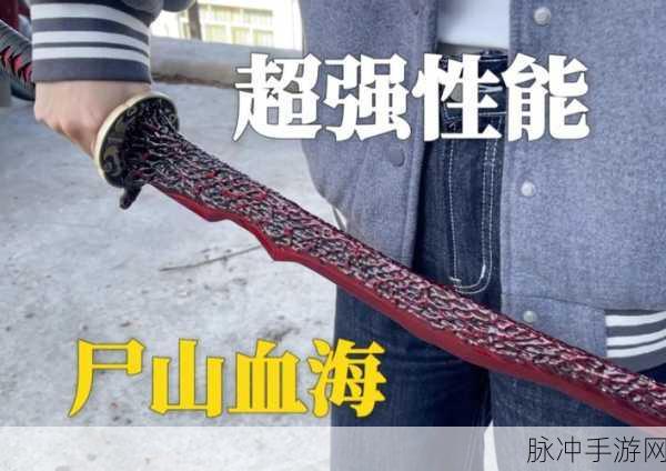 艾尔登法环，双头剑与尸山血海，谁才是你的战场利刃？