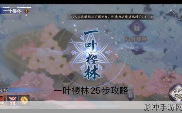 阴阳师雪落樱祭路线全攻略,解锁最佳探索路径