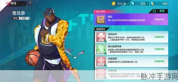 热血街篮弗兰克PG，球场魔术师，掌控节奏的艺术