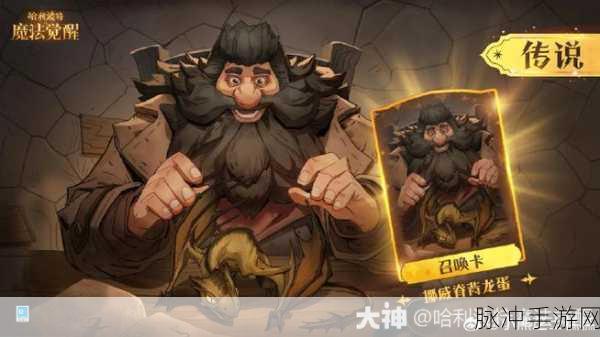 哈利波特魔法觉醒,揭秘召唤卡雷鸟的神秘效果