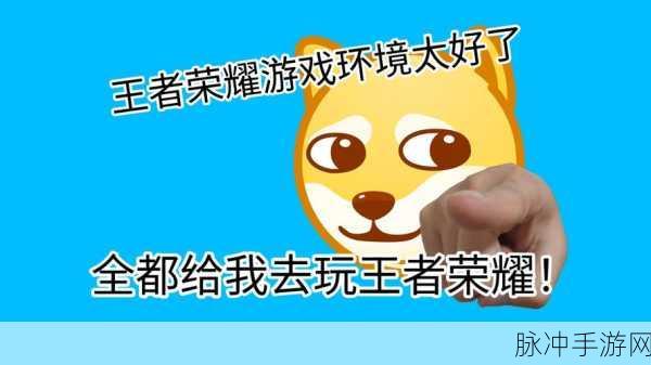 王者荣耀这也太秀了吧语音包全攻略，解锁你的专属嘲讽神器