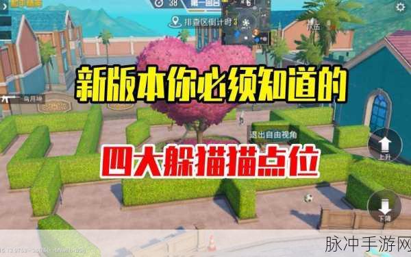 和平精英躲猫猫，揭秘高效救援队友的秘诀