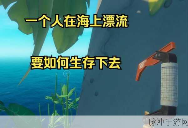 木筏求生小浪，海上漂流，挑战极限生存的智慧之旅