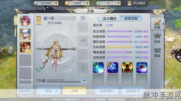 镇魔曲龙将，职业定位与能力深度探索，战斗潜力与角色多样性揭秘