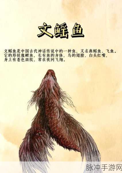探秘魔法世界的奇幻之旅，鲤鱼的不凡奥秘与价值