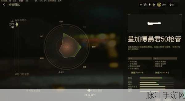 使命召唤双持武器解锁与操作全攻略