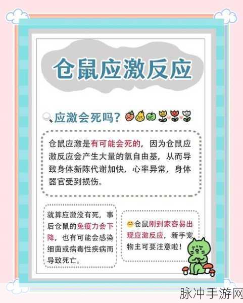 仓鼠救援行动，射击与策略的趣味碰撞