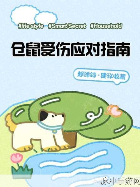 仓鼠救援行动,射击与策略的趣味碰撞