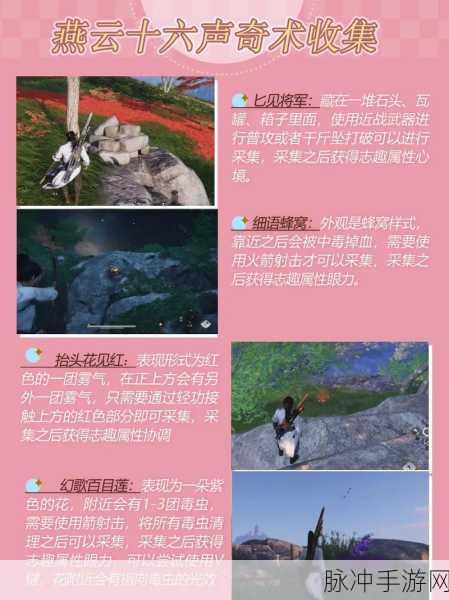 燕云十六声佛花与鼠下奇遇任务全攻略