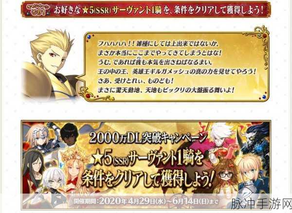 FGO自选五星盛宴,阿秋25选1深度剖析与策略指南