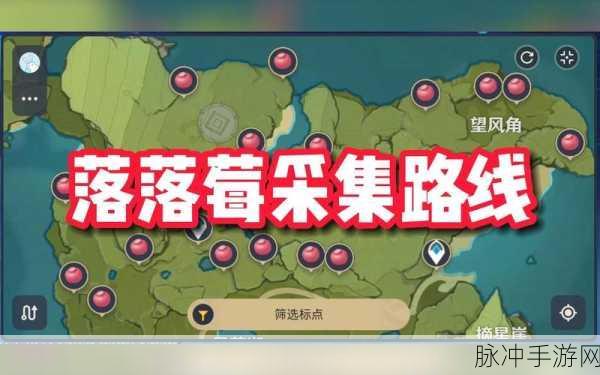 原神落落莓采集全攻略,揭秘高效寻找与收获秘诀