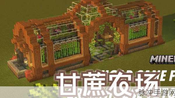 迷你世界深度探索，甘蔗生长地与细甘蔗获取秘籍