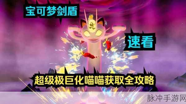 口袋妖怪超能猫,萌宠蜕变,战斗王者之路
