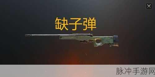 和平精英战场利器,AWM狙击枪致命伤害深度揭秘