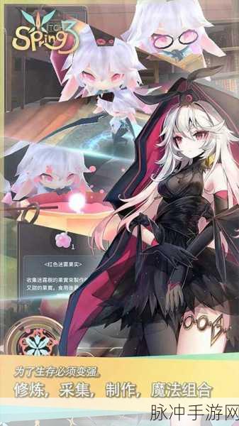 魔女之泉3，生命石升级与黑暗魔力石获取秘籍