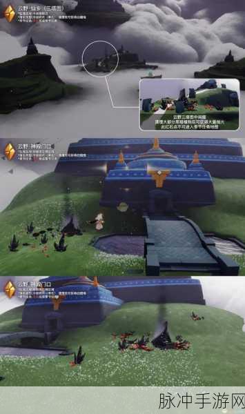 光遇雨林深处，黑暗植物位置全揭秘，解锁隐藏攻略