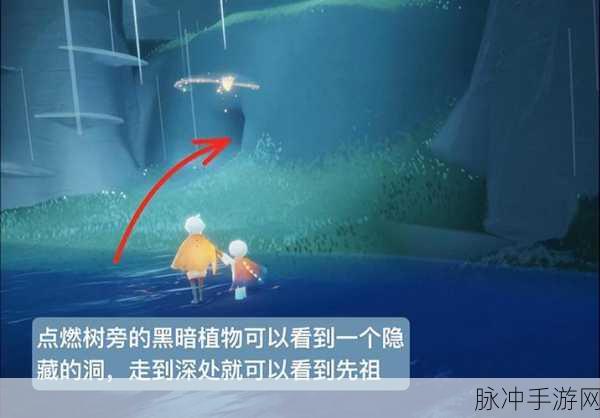 光遇雨林深处，黑暗植物位置全揭秘，解锁隐藏攻略