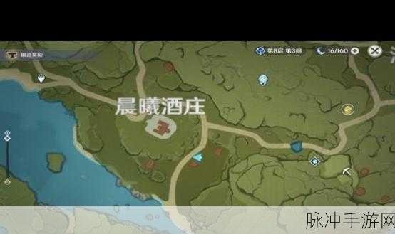 原神探险记,揭秘白萝卜背后的秘密宝藏