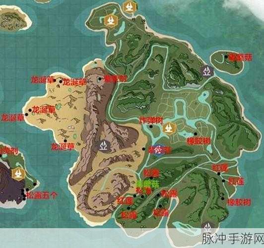 探秘创造与魔法，旧微光森林位置全揭秘及探险宝典