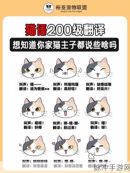 解锁方言魅力，一起来捉妖方言专属猫领取秘籍