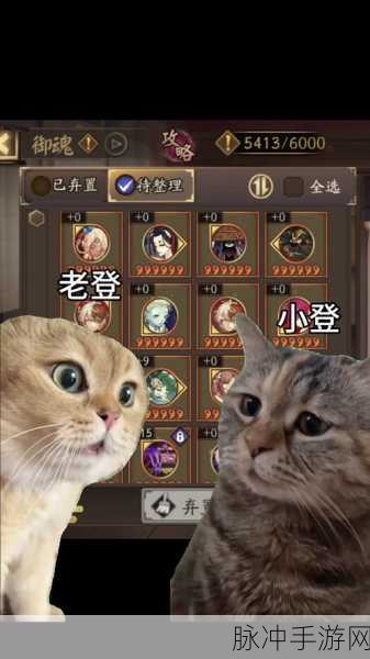 阴阳师5星御魂奉纳全攻略，揭秘御魂强化之路，携手铸就最强神将！