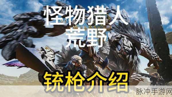 怪物猎人OL，剑影枪鸣，流派之争，你的狩猎之道何在？