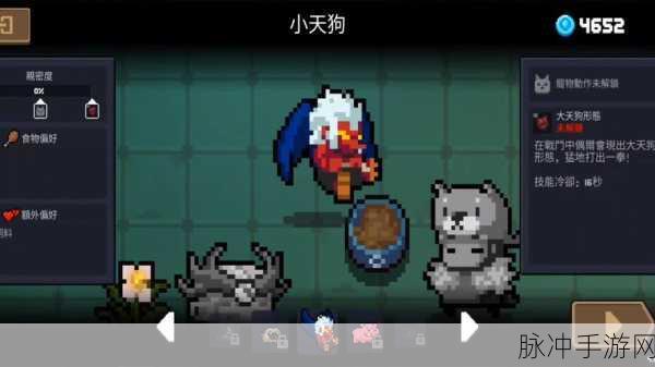 元气骑士神秘小天狗宠物获取全攻略