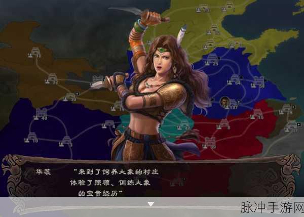 三国志战略版祝融夫人,实力解析与战法效果深度探讨