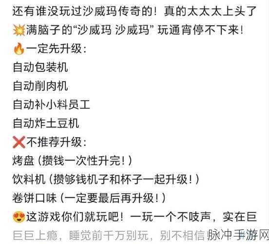 沙威玛传奇,升级进度条深度剖析,开启全新游戏篇章