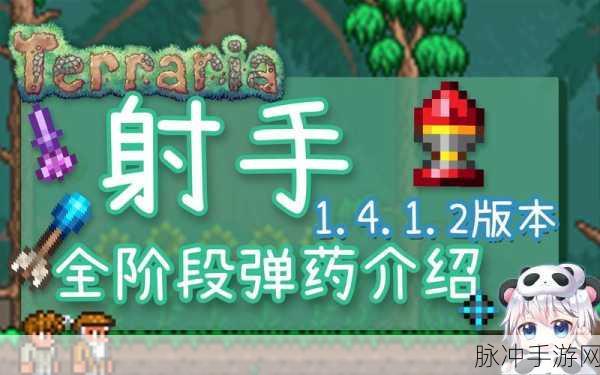 泰拉瑞亚PC射手职业深度攻略，精准射击，制霸地牢！