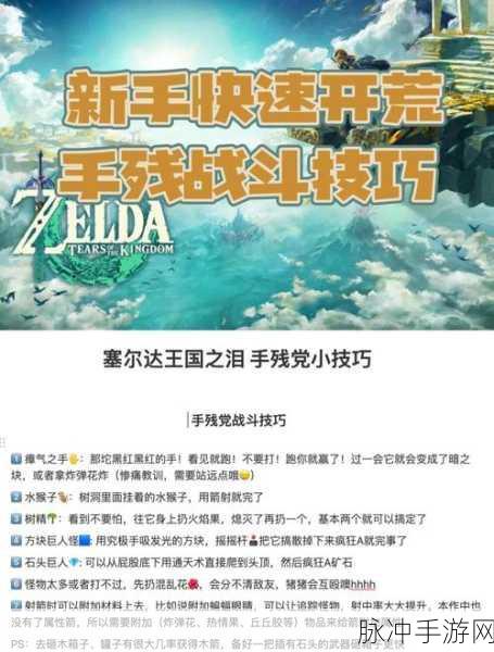 塞尔达传说王国之泪，电池快速扩容秘籍大公开