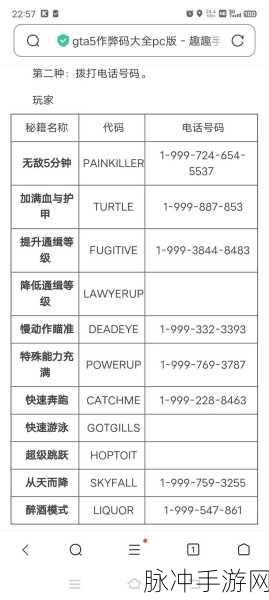 GTA5激活码大揭秘,解锁R星隐藏宝藏的终极指南