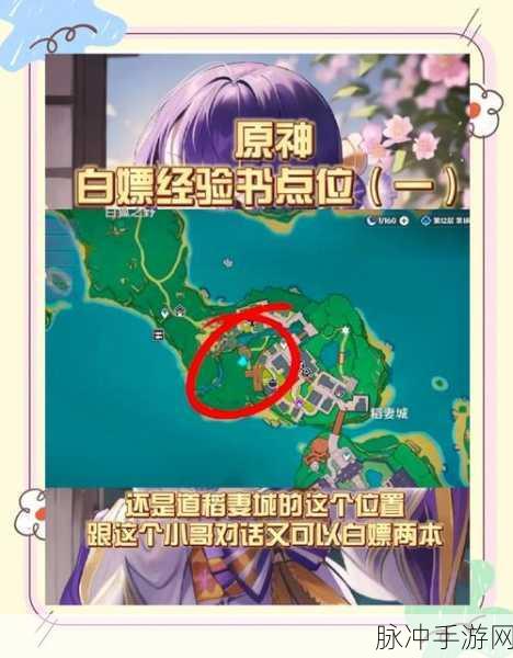 原神求学漫漫路深度剖析，智慧之门速通秘籍全公开