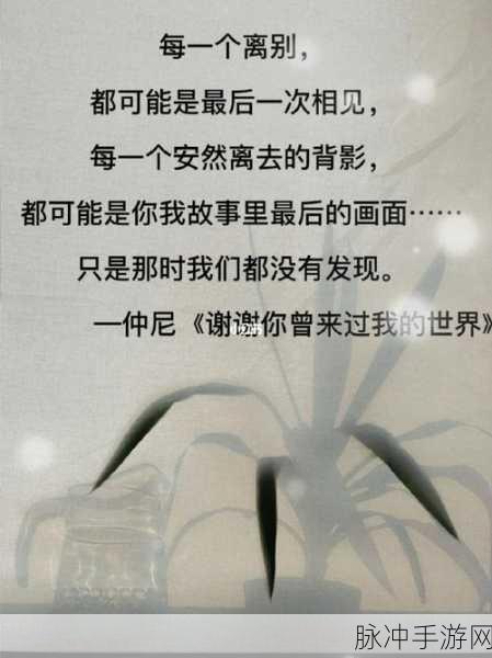 探寻旋律背后的秘密,我的世界你曾经来过究竟是哪首歌?