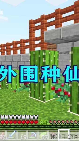 我的世界，解锁火炬浆果的奇幻探险之旅