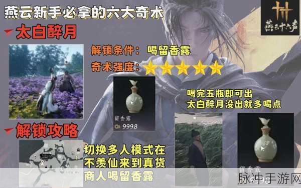 燕云十六声等级上限突破全攻略,爆料不断!